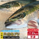 【ふるさと納税】【11/1～1/15お届け 年末年始用】壱岐島産天然寒ブリ（一本丸ものサイズ10キロ台 半身ブロック）《壱岐市》ぶり 寒ぶり ブリ 魚 刺身 しゃぶしゃぶ【壱岐島 玄海屋】 [JBS105] 172000 172000円 のし プレゼント ギフト 冷蔵配送