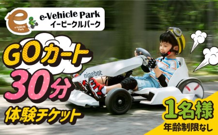 ゴーカート30分体験 吉野ヶ里/e-ビークルパーク GOカート 乗り物 のりもの レジャー アウトドア 遊び  [FCS001]
