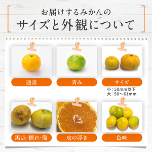 【3回定期便】柑橘類定期便（みかん・不知火・河内晩柑） 後藤農園