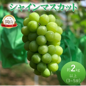 シャインマスカット 岩原農園 岡山県産 シャインマスカット【約2kg 3～5房】【先行予約】
