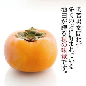 SZ0385　酒田の秋の味覚　あまくて美味しい庄内柿(種なし柿) 秀品　約2kg(15～18玉前後) 