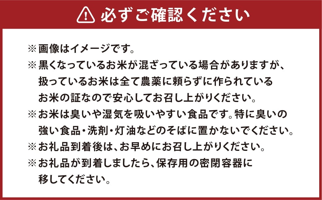 白米 倉敷市産 ヒノヒカリ10kg