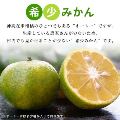 【2025年10月から順次発送】やんばる国頭村産 希少な島みかん「オートー」3kg【1662091】