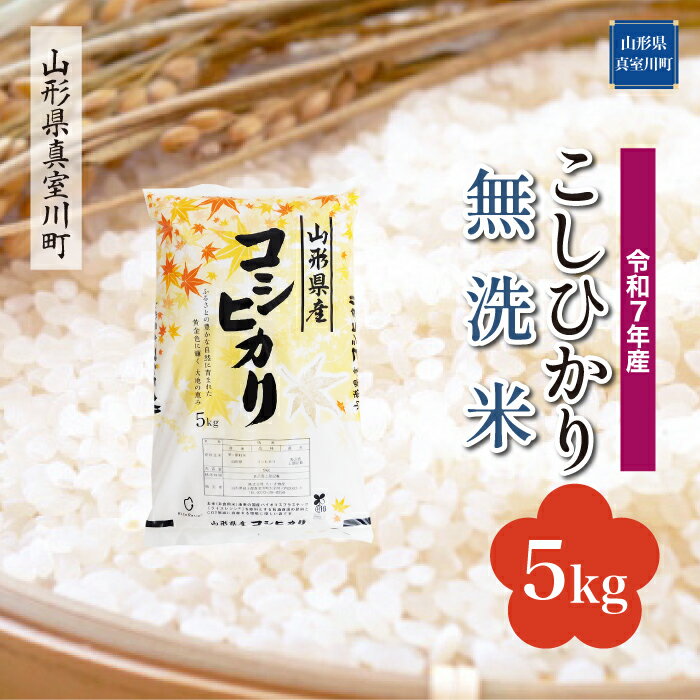 【ふるさと納税】令和7年産 真室川町厳選 コシヒカリ ［無洗米］ 5kg（5kg×1袋）