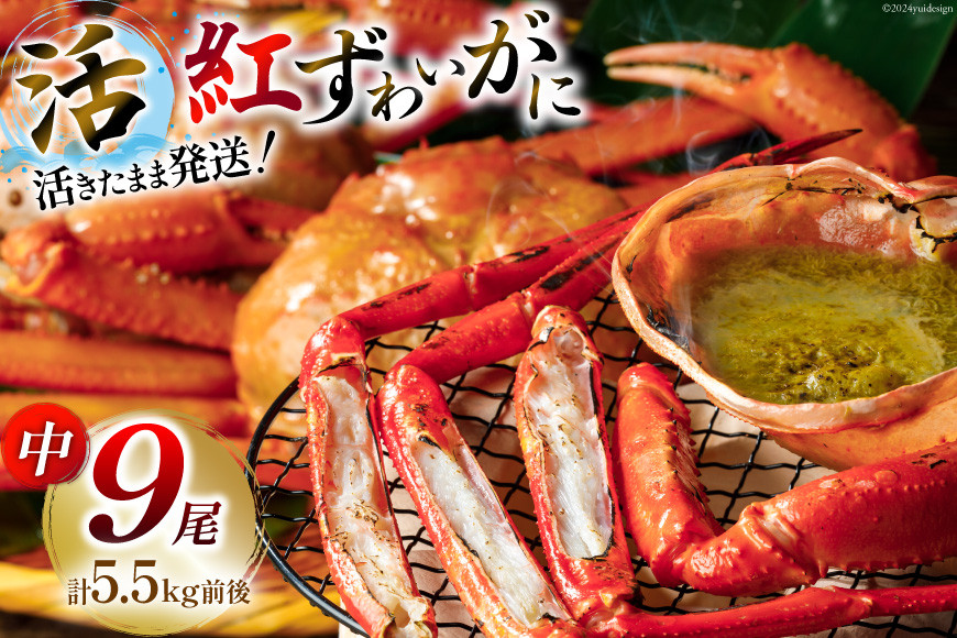 
【能登半島 漁協直送！】活 紅ズワイガニ 9尾(中サイズ) 計 5.5kg 前後 [JF西海 石川県 志賀町 AM4219] 蟹 カニ かに ずわいがに ズワイガニ
