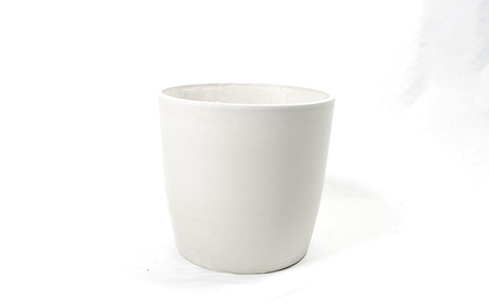 沖縄の観葉植物 人気のフィカス ウンベラータ6号 シュエット鉢ポット