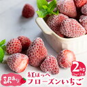 【ふるさと納税】＼高評価★4.7／ 訳あり フローズン いちご 2kg (1kg × 2袋) しあわせいちご 紅ほっぺ 大粒 【愛知県・田原産】冷凍いちご イチゴ 苺 果物 (規格外 不揃い 傷) くだもの フルーツ 加工用 冷凍フルーツ 国産 産地直送 激甘 苺 人気