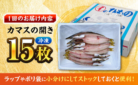 【全3回定期便】漁師町佐島 カマスの開き 15枚セット 干物 横須賀 【石川水産】[AKCX007]