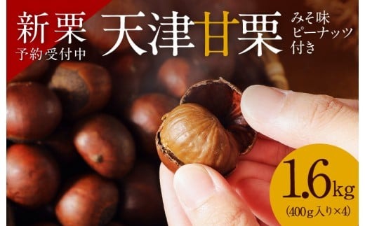 天津甘栗 衣浦食品 1.6kg 栗爪付き 1.6kgのみ みそ味ピーナッツ 50g 付き やさしい甘み 河北省 栗 甘栗 焼き栗 保存料 不使用 焼いた当日 発送 この道50年 職人 専門店 栗ご飯 栗きんとん おやつ 常温 お取り寄せ 愛知県 碧南市 送料無料 H045-052