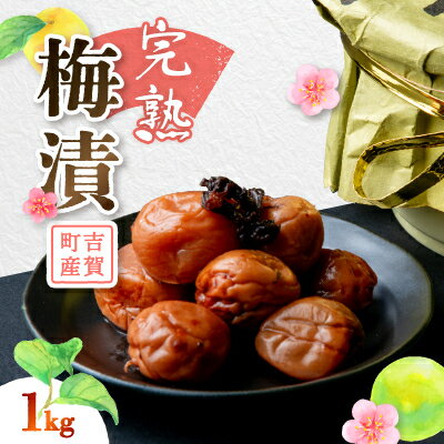 【ふるさと納税】完熟梅漬　1kg_ 惣菜 梅漬 完熟梅 人気 美味しい【1259218】