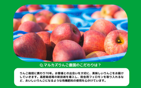 旬のりんご 【 定期便 】 家庭用 5kg × 2回 マルカズりんご農園 沖縄県への配送不可 2026年10月中旬頃から2026年12月上旬頃まで順次発送予定 令和8年度収穫分 減農薬栽培 予約 農家