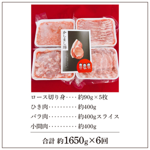【6ヵ月定期便】 豚肉 かしまし豚 4種の詰め合わせ×6回 国産 豚肉