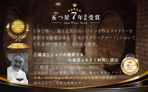 【ふるさとチョイス限定】山崎ワイン（おまかせ6本セット）各750ml