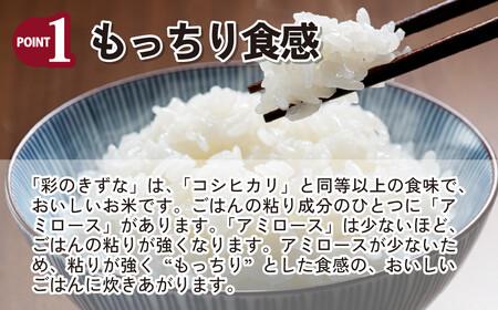 【令和5年産】埼玉県産 彩のきずな 5kg 【ブランド米 埼玉ブランド お米専用化粧箱  白米 国産 お米】