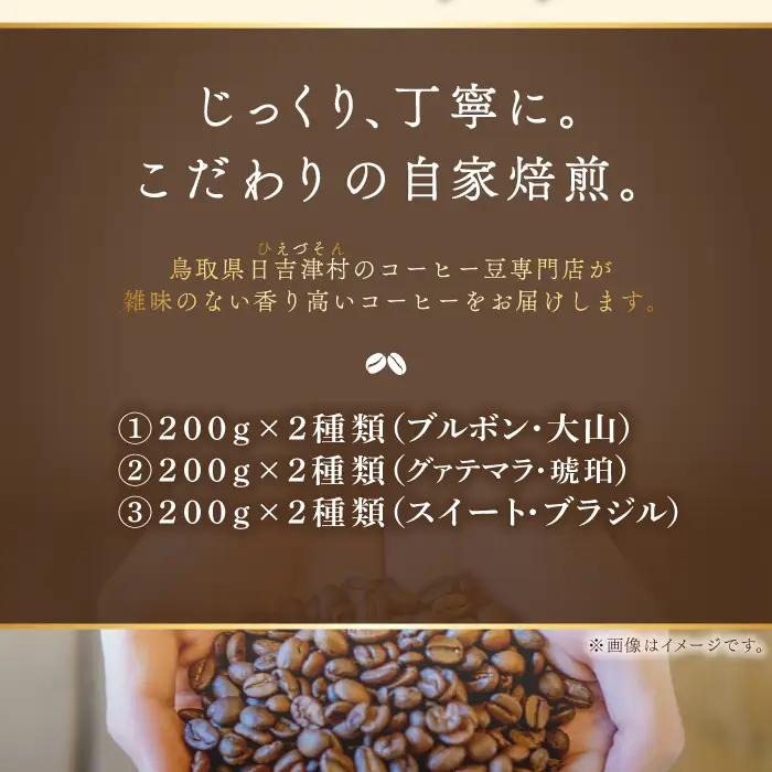 【3回定期便】【コーヒー粉】極上自家焙煎コーヒー　400g×3回【ブルボン 大山 グァテマラ 琥珀 スイート ブラジルブレンド 定期コース 3回 頒布会 コーヒー 珈琲 自家 焙煎 粉 コーヒー粉 飲
