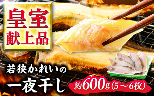 国産 若狭かれい 一夜干し 600g (5〜6枚) ヤナギムシカレイ | カレイ かれい 鰈 干物 一夜干し 焼き魚 魚介 冷凍 小分け お手軽 時短 時短料理 魚貝類 タイ 鯛 加工品 おかず 朝食 夕食 メイン 魚料理 おつまみ 肴 一品料理 1尾 600g 5 6   【配送不可地域：北海道・沖縄・離島】  [BFAE023]