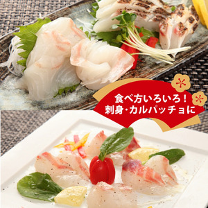 【価格改定予定】鯛 真鯛 マダイ 刺身用 真鯛 計 390g 約130g 3袋 沼津産 真鯛 刺し身 真鯛 冷凍 真鯛 皮引き 真鯛