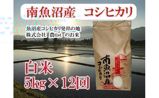 
            【令和7年産】【定期便 南魚沼産】コシヒカリ 白米5kg×12回【2025年9月中旬より順次発送予定】
          