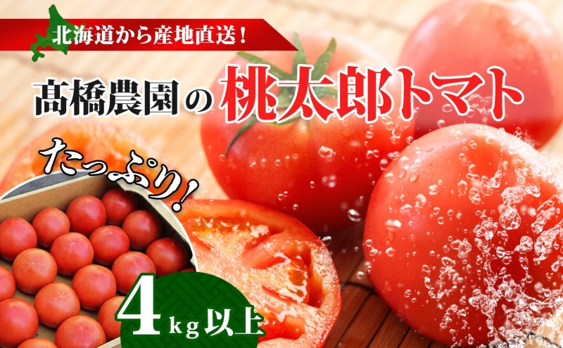 北海道 高橋農園 桃太郎トマト 4kg以上 M～Lサイズ (18玉～24玉) 5月下旬～9月上旬お届け 大玉トマト tomato 産地直送 農家直送 新鮮 野菜 安心 安全 とれたて 完熟 洞爺湖町 送料無料