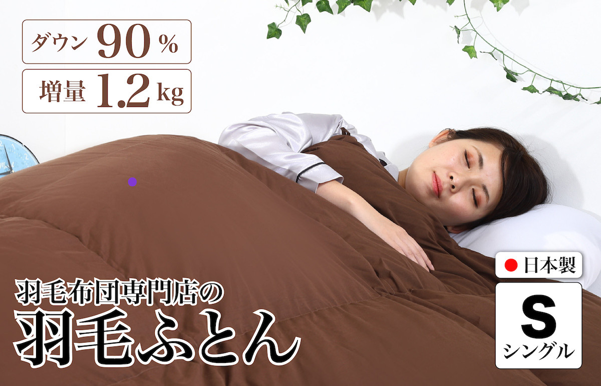 
            羽毛布団 シングル 無地ブラウン ダウン90% 1.2kg 立体スクエアキルト 8か所ループ付き 日本製 掛け布団 日本製 国産 シングルサイズ 本掛け ホワイトダックダウン 寝具 抗菌防臭 防ダニ加工 羽毛掛けふとん 本掛け布団 羽毛ふとん 本掛け ふとん 布団 羽毛 ふとん 寝具 羽毛掛けふとん ふとん 布団 本掛け 掛け布団
          