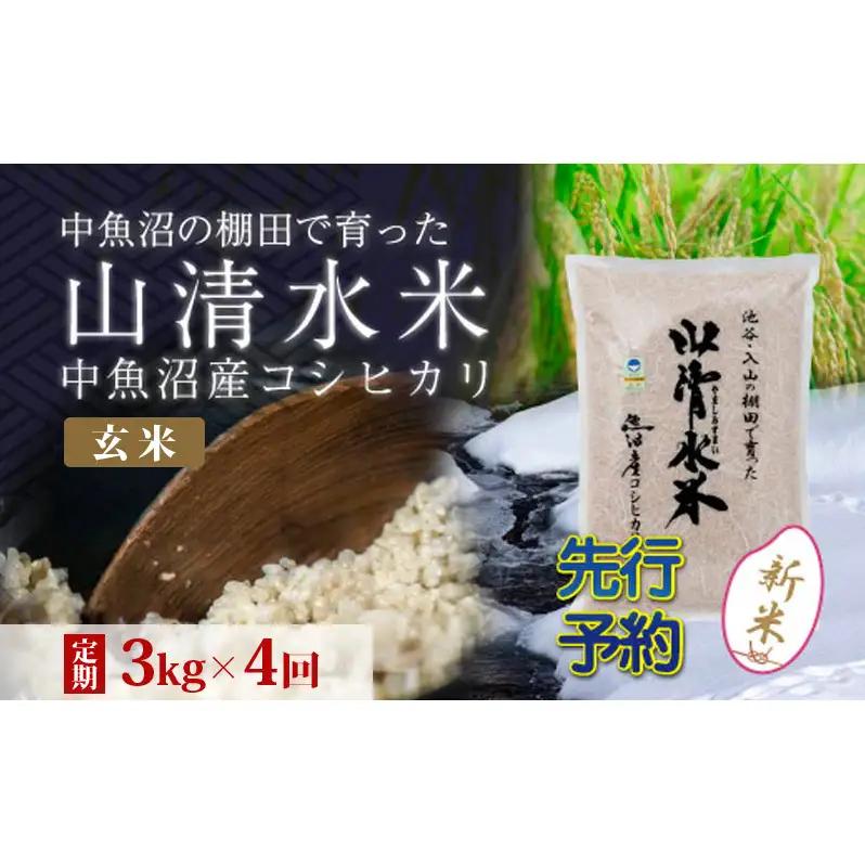 【令和8年産 先行予約】【定期便／全4回】玄米3kg 新潟県魚沼産コシヒカリ「山清水米」