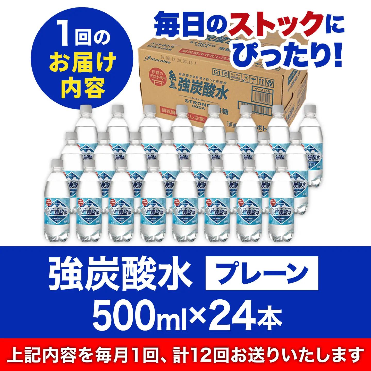 【全12回定期便】強炭酸水 プレーン 500ml × 24本 糸島市 / スターナイン [ARM011] 炭酸水 定期便