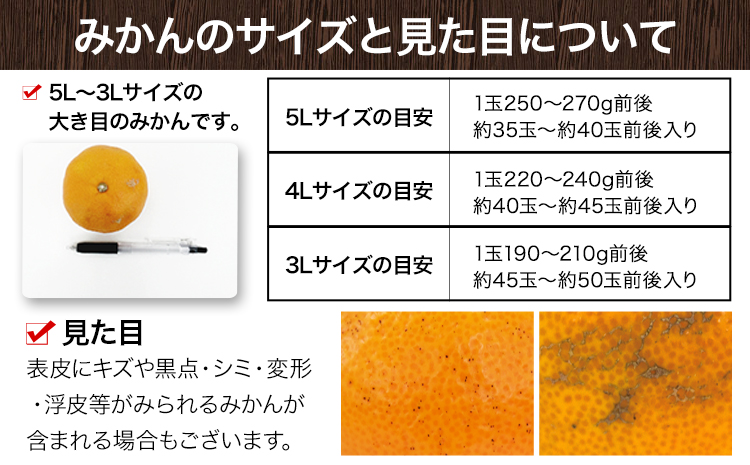 みかん 訳あり 大粒みかん 10kg  フルーツ 旬 柑橘 大粒 大玉 《2026年1月中旬-2月末頃出荷》---fn_notbmkn_bc1_r7_12000_10kg---