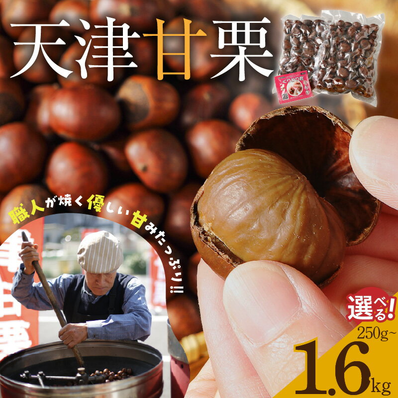 【ふるさと納税】天津甘栗 保存料不使用 選べる容量 250g 800g 1.6kg 栗爪付き やさしい甘み 河北省 栗 甘栗 焼き栗 焼いた当日に発送 栗ご飯 おやつ スイーツ マロン 常温 衣浦食品 お取り寄せ 愛知県 碧南市 送料無料