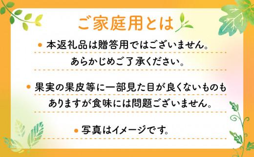 【訳あり】ご家庭用小原紅早生みかん(サイズおまかせ)　約2.5kg【11月下旬～1月下旬配送予定】｜早生ミカン みかん 早生みかん 訳アリ 訳あり 不揃い 家庭用みかん 甘い フルーツ くだもの 果物
