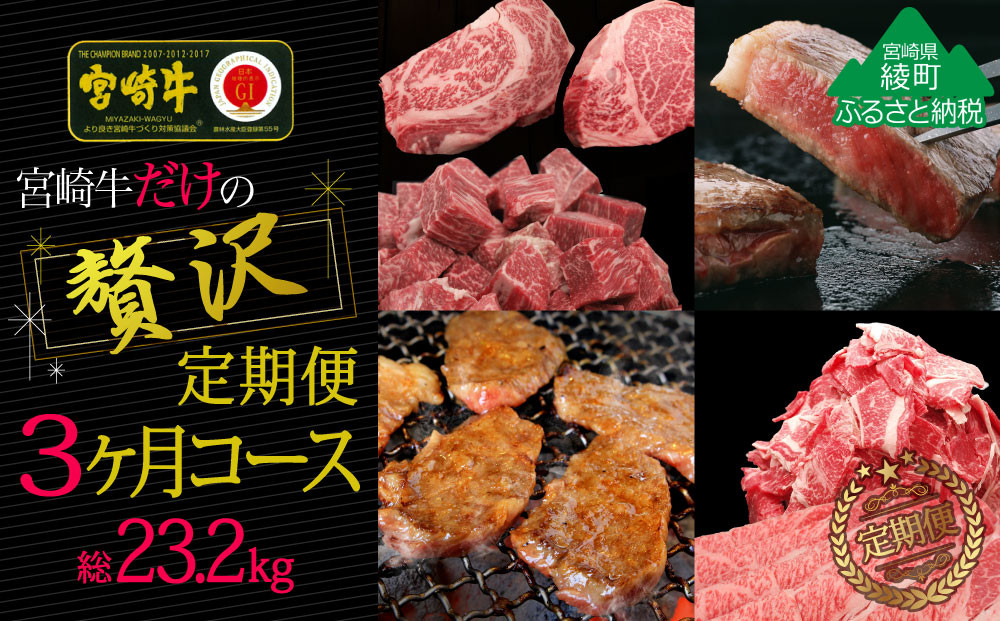 
宮崎牛だけの贅沢定期便コース計23.2kg【3か月定期便】（36-225）

