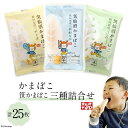 【ふるさと納税】笹かまぼこ 三種詰合せ 計25枚 [かねせん 宮城県 気仙沼市 20562771] 練物 惣菜 おつまみ 詰め合わせ 食べ比べ 蒲鉾 かまぼこ カマボコ 笹かま プレゼント ギフト 贈答 お中元 お歳暮