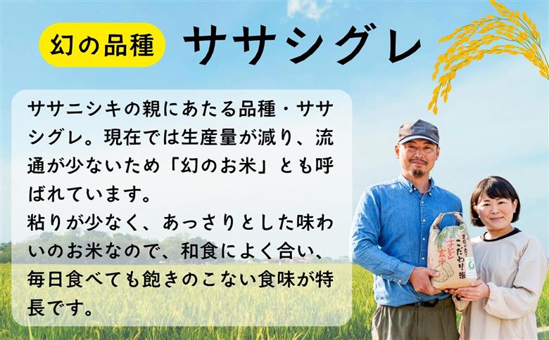 【令和7年産】幻のお米 ササシグレ ７分つき 4.75kg 《 栽培期間中 農薬・化学肥料不使用 》やよい農園  (7-90) 5分つき4.75kg