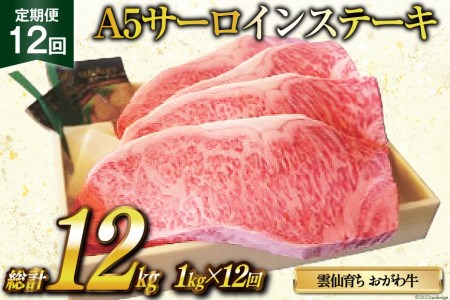 定期便 12回 牛肉 雲仙育ち おがわ牛 A5 サーロインステーキ 総計12kg(1kg×12回) [焼肉おがわ 長崎県 雲仙市 item2115] ステーキ 黒毛和牛 冷凍