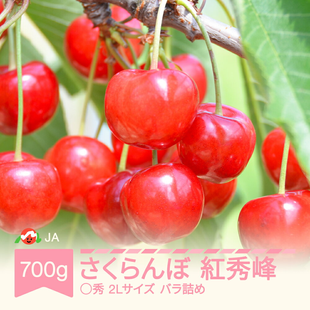 【ふるさと納税】【先行予約】さくらんぼ 紅秀峰 2026年産 令和8年産 700gバラ 〇秀2L玉以上 送料無料 サクランボ ja-bsslb700