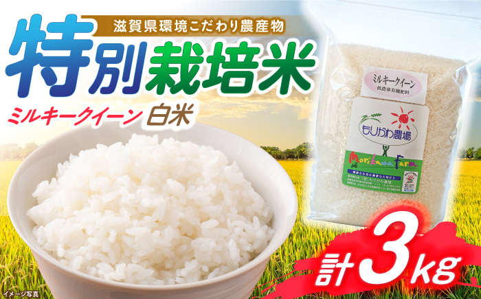 
            【新米：令和6年産】滋賀県 低農薬栽培 ミルキークイーン 白米 3kg 　滋賀県長浜市/有限会社もりかわ農場 [AQBL023] 米 お米 白米 新米 3kg  米 お米 ご飯 ごはん ゴハン
          