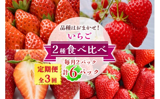 
                  [定期便／全3回] いちご 2種 (2パック) 食べ比べセット 毎月お届け 1月から3月発送｜苺 イチゴ 果物 フルーツ 産地直送 [3233]
                