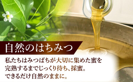 【3回定期便】 自慢のそよご蜜 300g 瑞浪市 / 堀養蜂園 はちみつ 蜂蜜 国産[AZCF010]