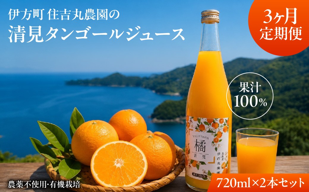 
                  【3か月定期便】清見タンゴールジュース 720ml×2本 【 ふるさと納税 人気 おすすめ ランキング 清見タンゴール ジュース みかん ミカン オレンジ 無農薬　有機栽培 佐田岬半島 農家直送 住吉丸農園 愛媛県 伊方町 送料無料 】 IKTBN017
                