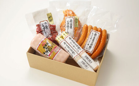 奥美濃古地鶏Bセット / 地鶏 鶏肉 とり肉 肉 ハム ウインナー パストラミ ソーセージ 砂肝 燻製 セット 詰め合わせ / 恵那市 / 中部食産[AUBW006]