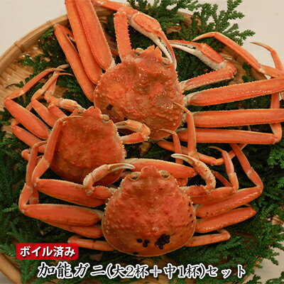 【ふるさと納税】【納品日指定不可】加能ガニ（大2杯+中1杯）セット　ボイル済み　お届け：12月以降順次出荷