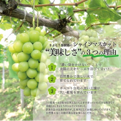 【訳あり】シャインマスカット ご家庭用/約2.2kg (岡山県産) 食べ応え満足便!【配送不可地域：離島・北海道・沖縄県】