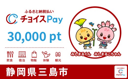 
                  三島市チョイスPay 30,000pt【会員限定のお礼の品】
                