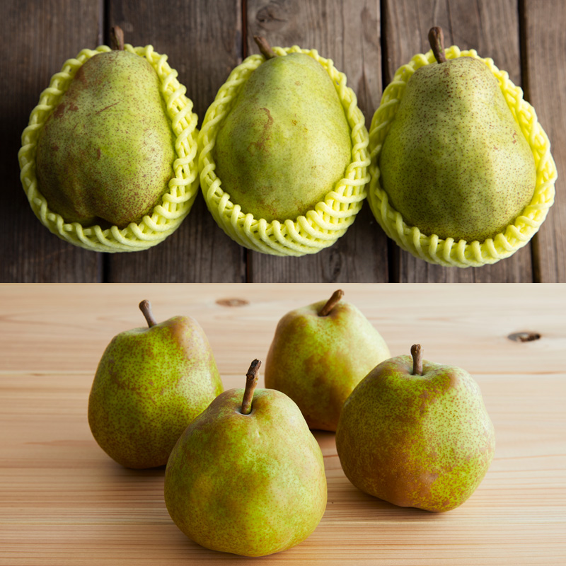 【定期便2回】山形果物 たっぷりシャインマスカットとどっさりラフランスの定期便 【令和8年産先行予約】FS24-767