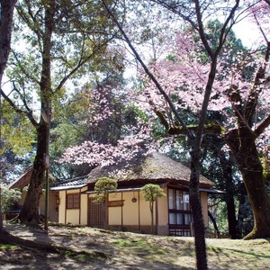 江戸三　会席料理　ペアお食事券（ランチ・ディナー）　85-002