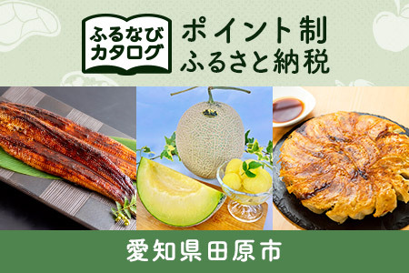 【有効期限なし！後からゆっくり特産品を選べる】愛知県田原市カタログポイント