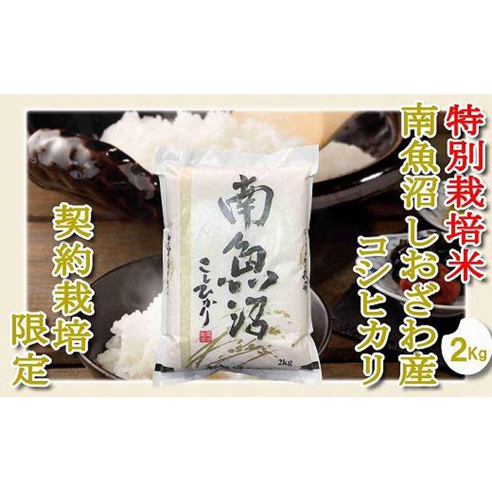【ふるさと納税】【令和7年産】【精米2Kg】特別栽培 生産者限定 南魚沼しおざわ産コシヒカリ | お米 こめ 白米 コシヒカリ 食品 人気 おすすめ 送料無料 魚沼 南魚沼 南魚沼市 新潟県産 新潟県