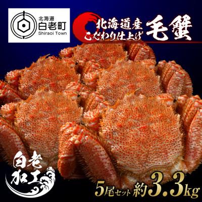 ふるさと納税 白老町 毛蟹 ボイル済み 冷凍 5尾セット 約3.3kg BM041