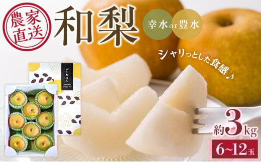 【先行予約】2026年産 農家直送 「和梨」約3キロ