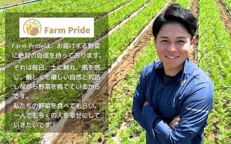 にんじん 冬ニンジン 5kg | にんじん 所沢市