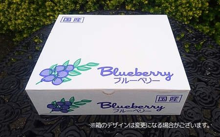 ブルーベリー 冷凍 2袋 (500g✕2) 計 1kg | ブルーベリー ブルーベリー ブルーベリー ブルーベリー ブルーベリー ブルーベリー ブルーベリー